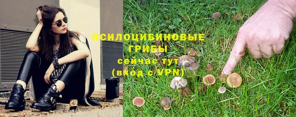 первитин Богородицк