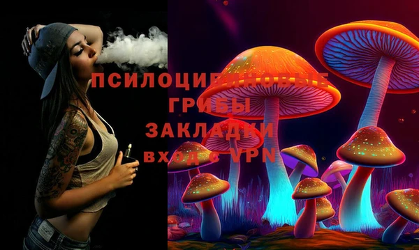 первитин Богородицк